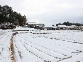 あすか癒俚の里　森羅塾
