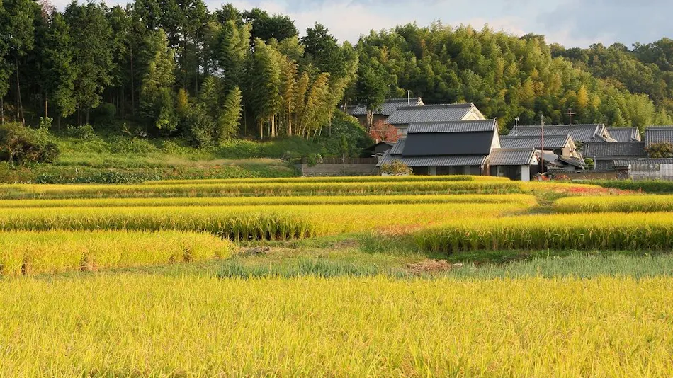 Asuka Healing Village Shinra-juku