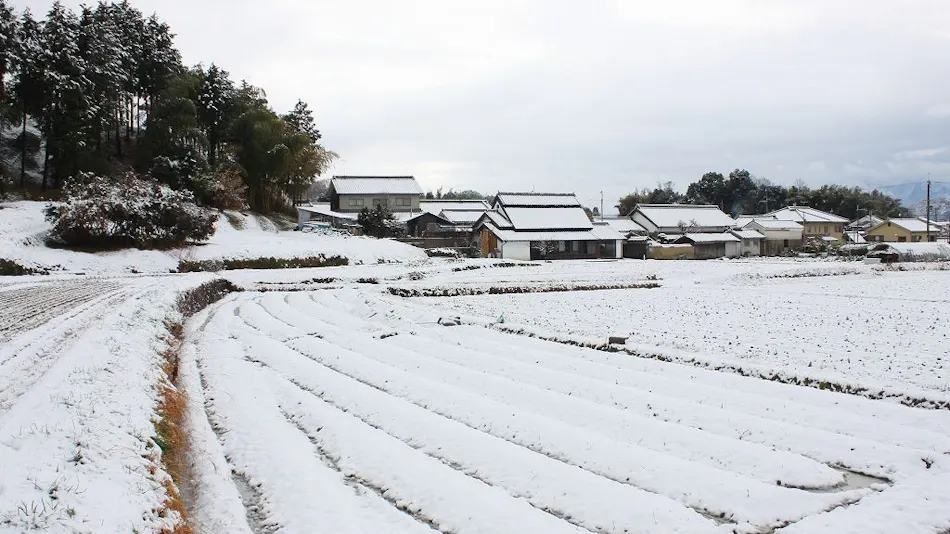 Asuka Healing Village Shinra-juku