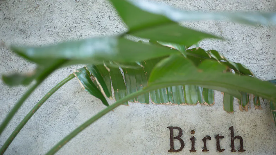 Birth ― the suite ―