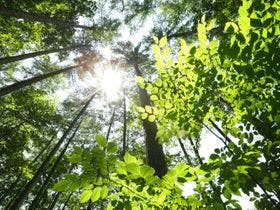 富士の住み家 りぶらん 3枚目