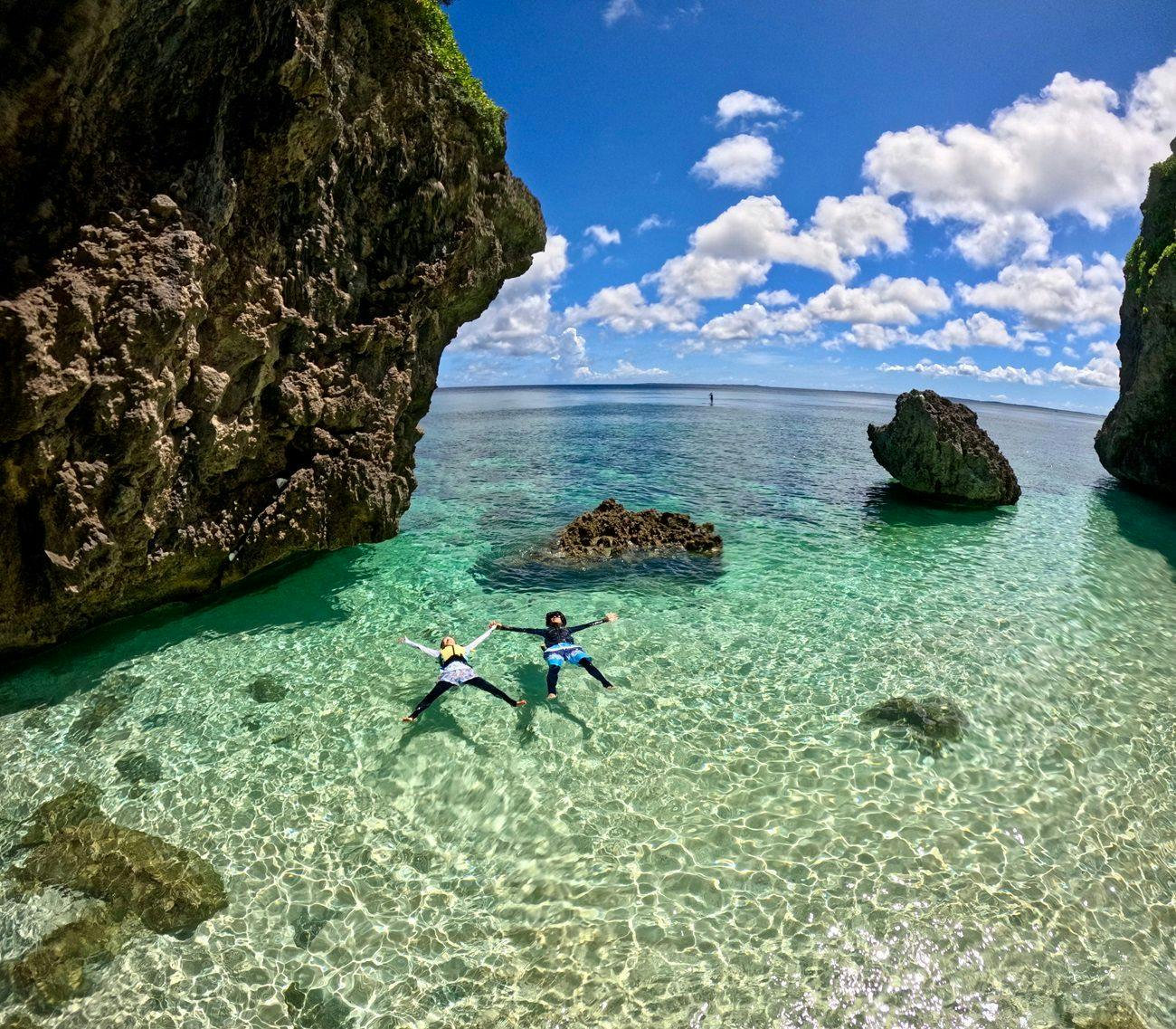 アクティビティ