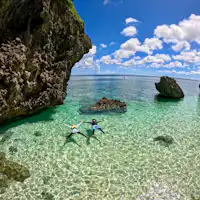 アクティビティ