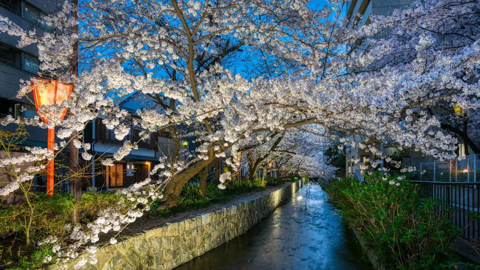 Hanakagari - Traditional Machiya House Rental