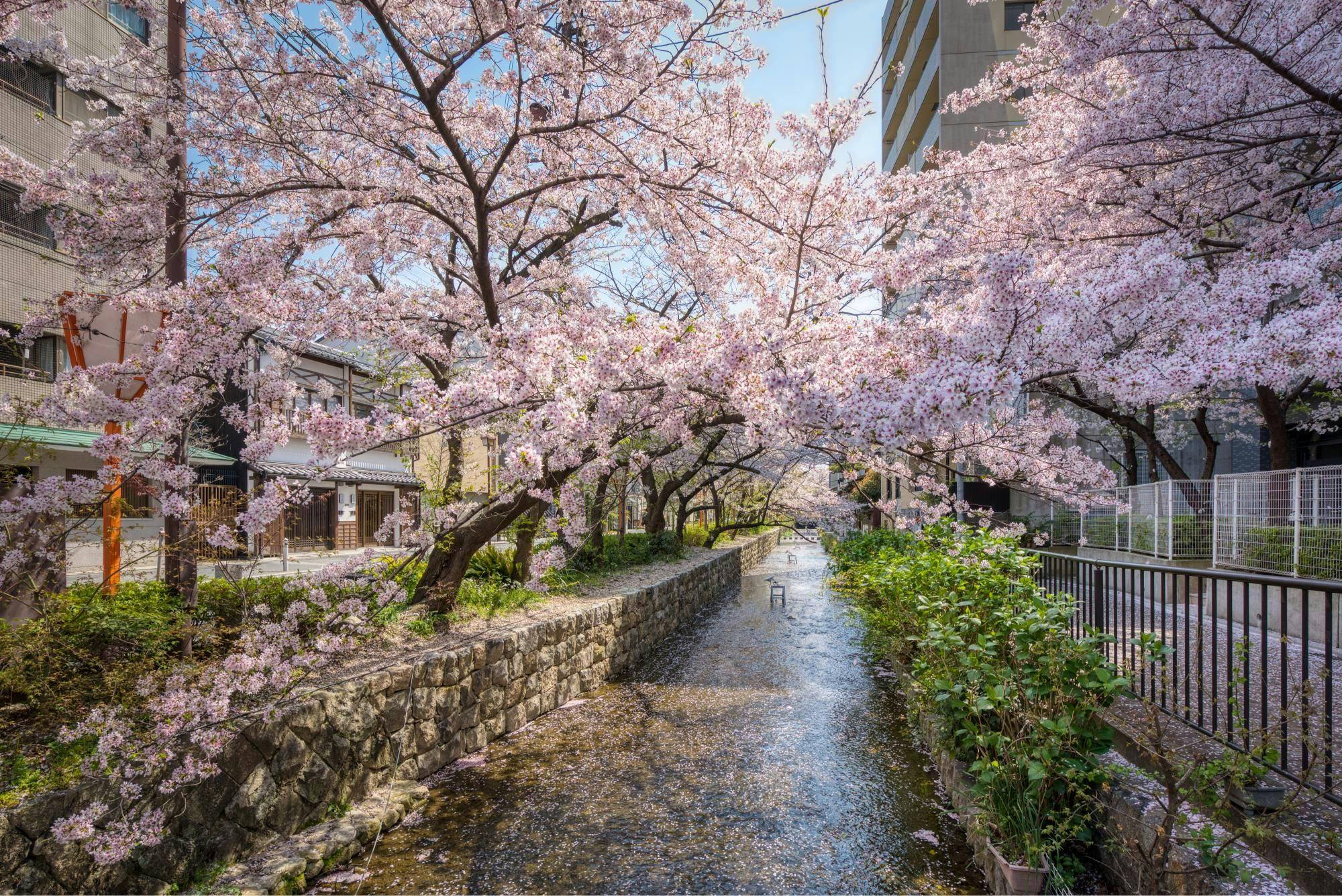 花篝 - はなかがり 〈一棟貸し町家〉