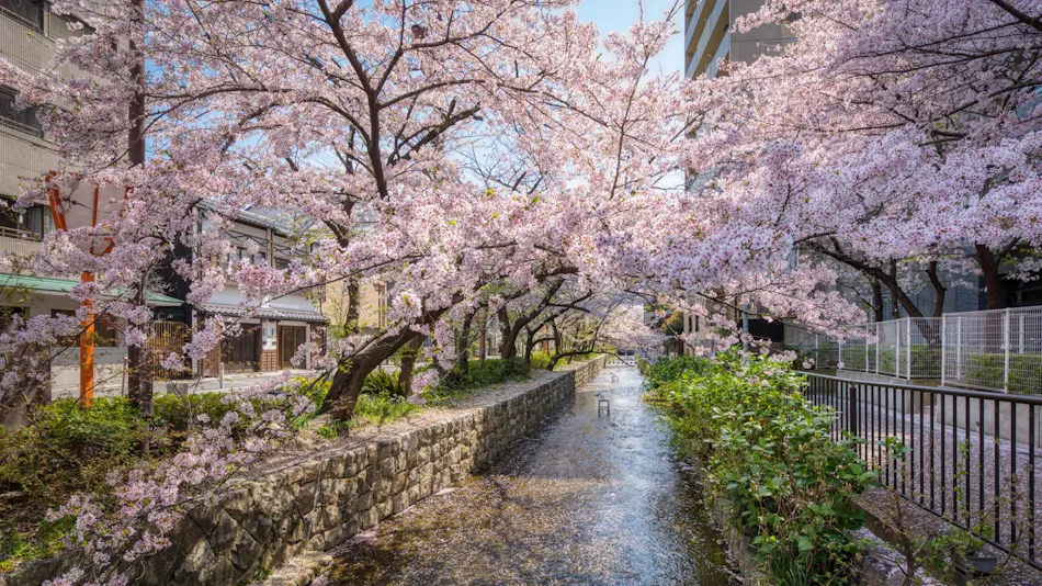 Hanakagari - Traditional Machiya House Rental