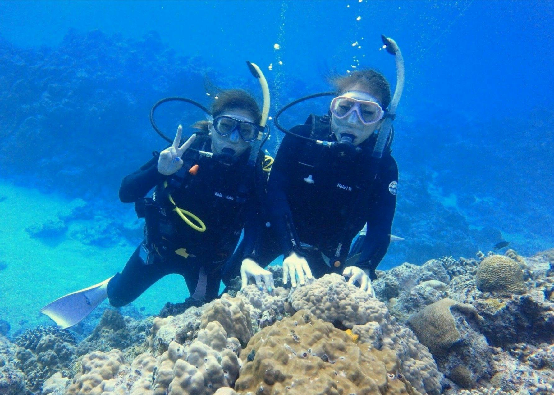 体験ダイビング