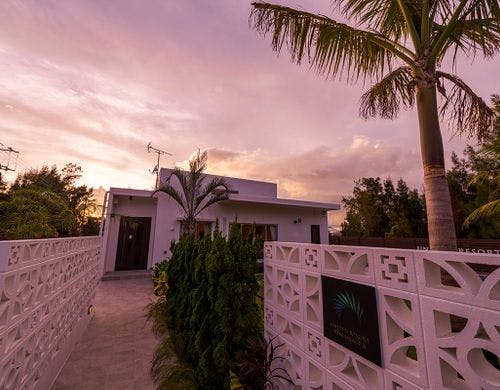 【庭・夕暮れ】ヤシの木が目印です♪