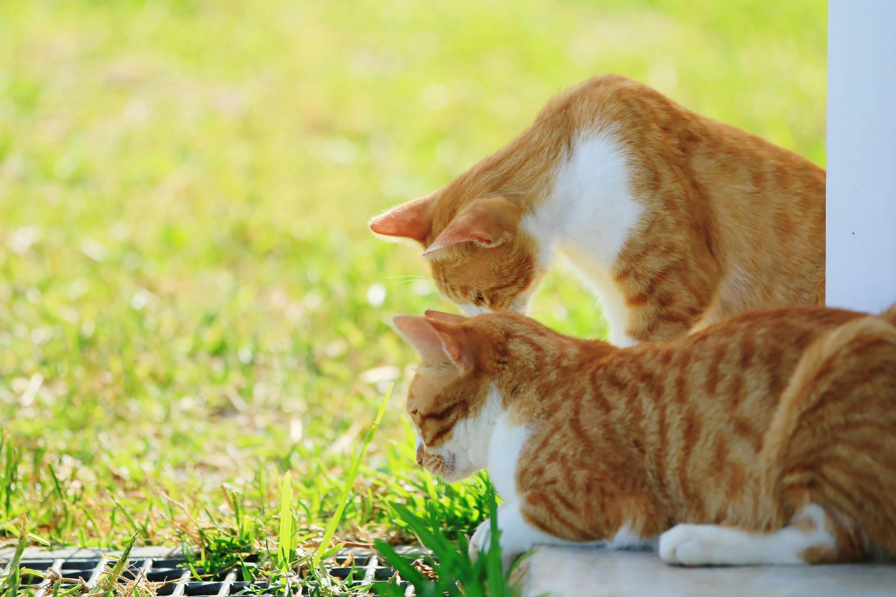 Hana Stay の宿泊プラン 予約 Yahoo トラベル