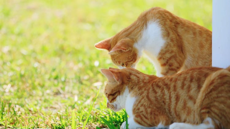 Hana Stay の宿泊プラン 予約 Yahoo トラベル Hana Stay の宿泊プラン 予約 Yahoo トラベル