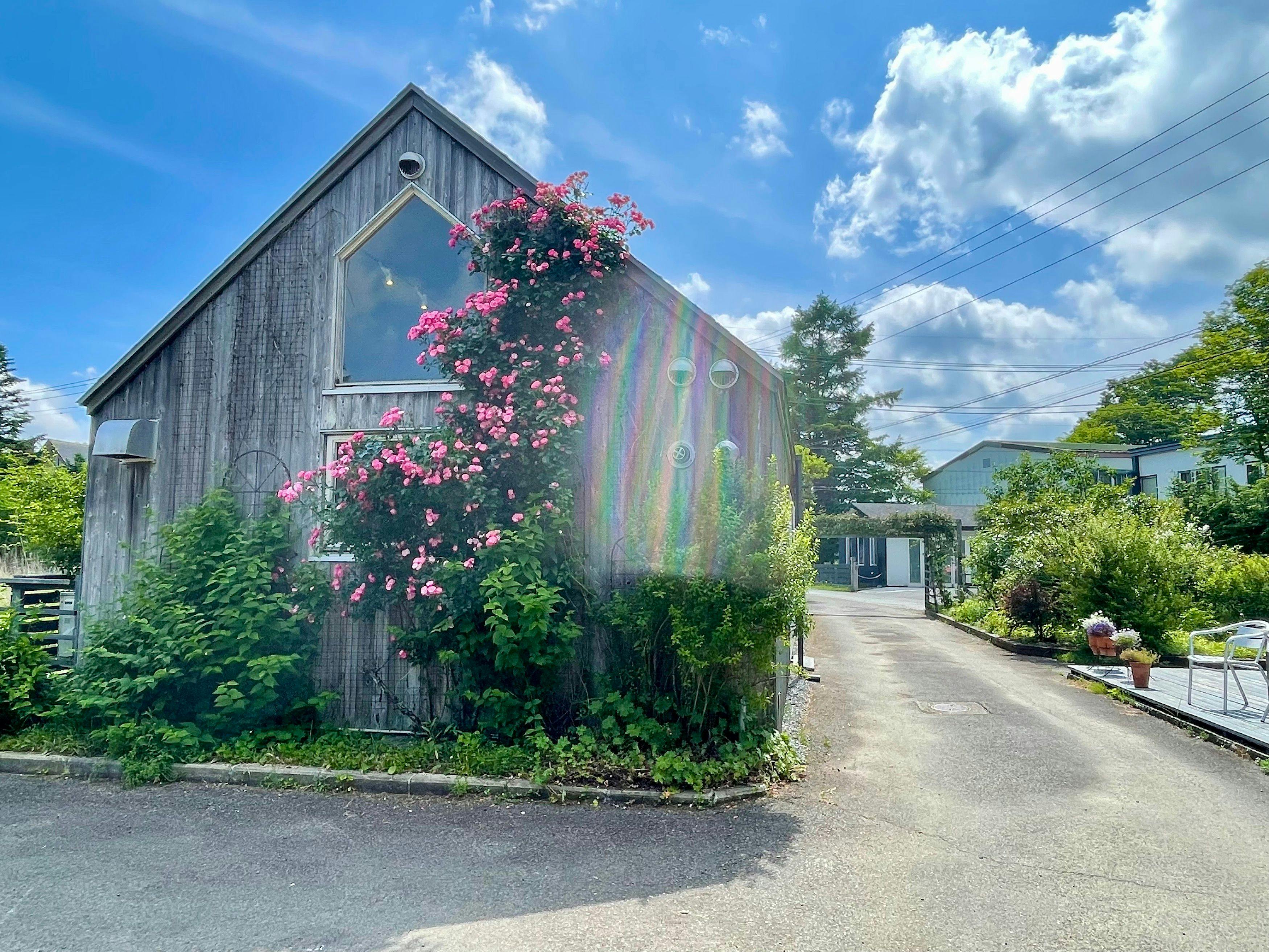 Garden Shed