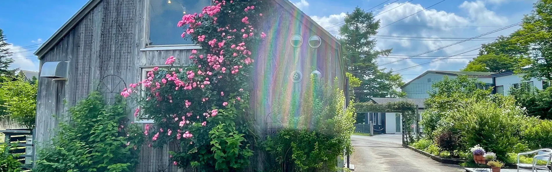 Garden Shed