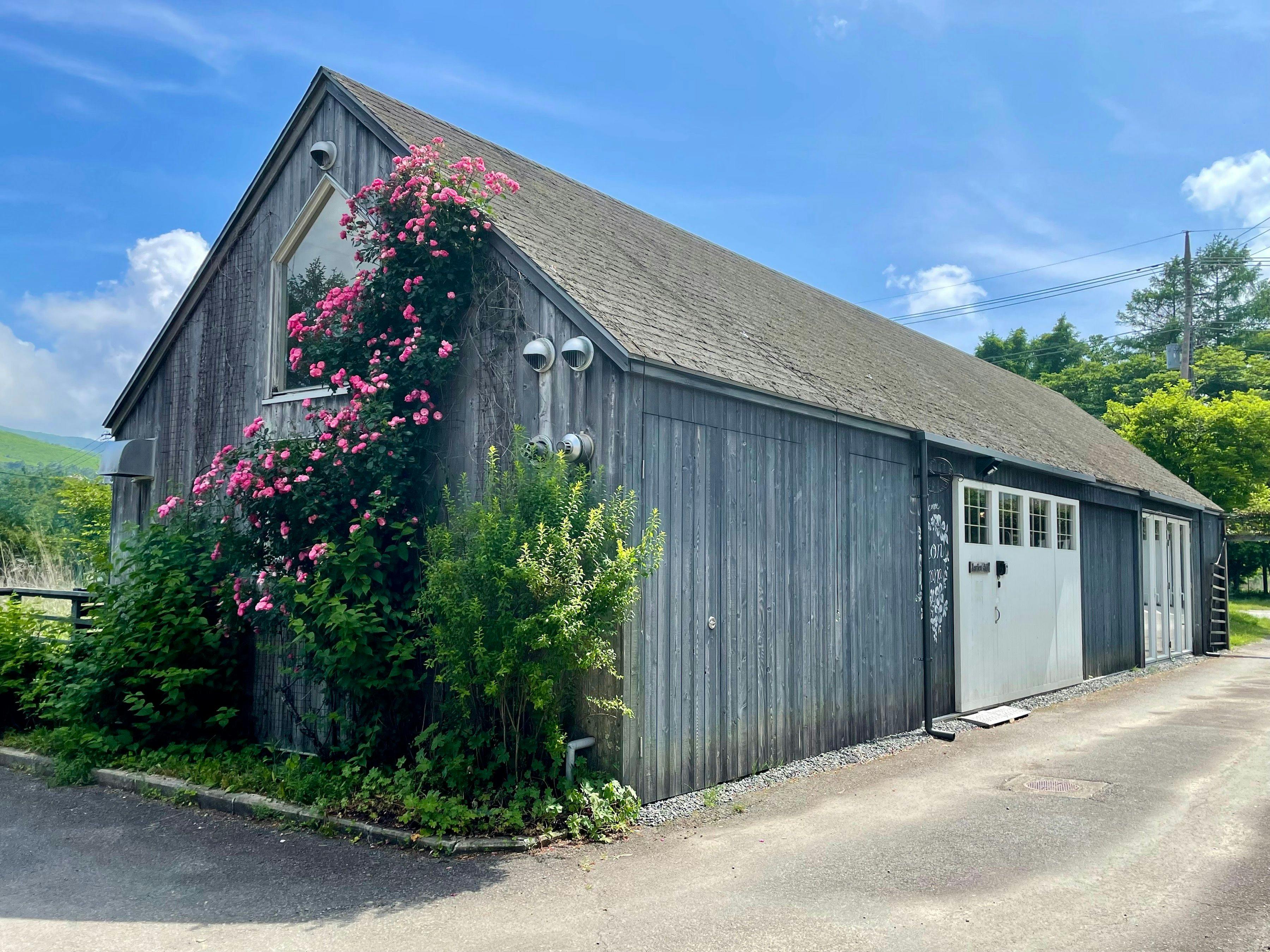 Garden Shed