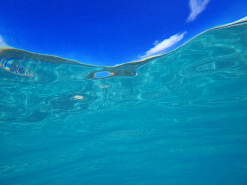 入田浜の透明度