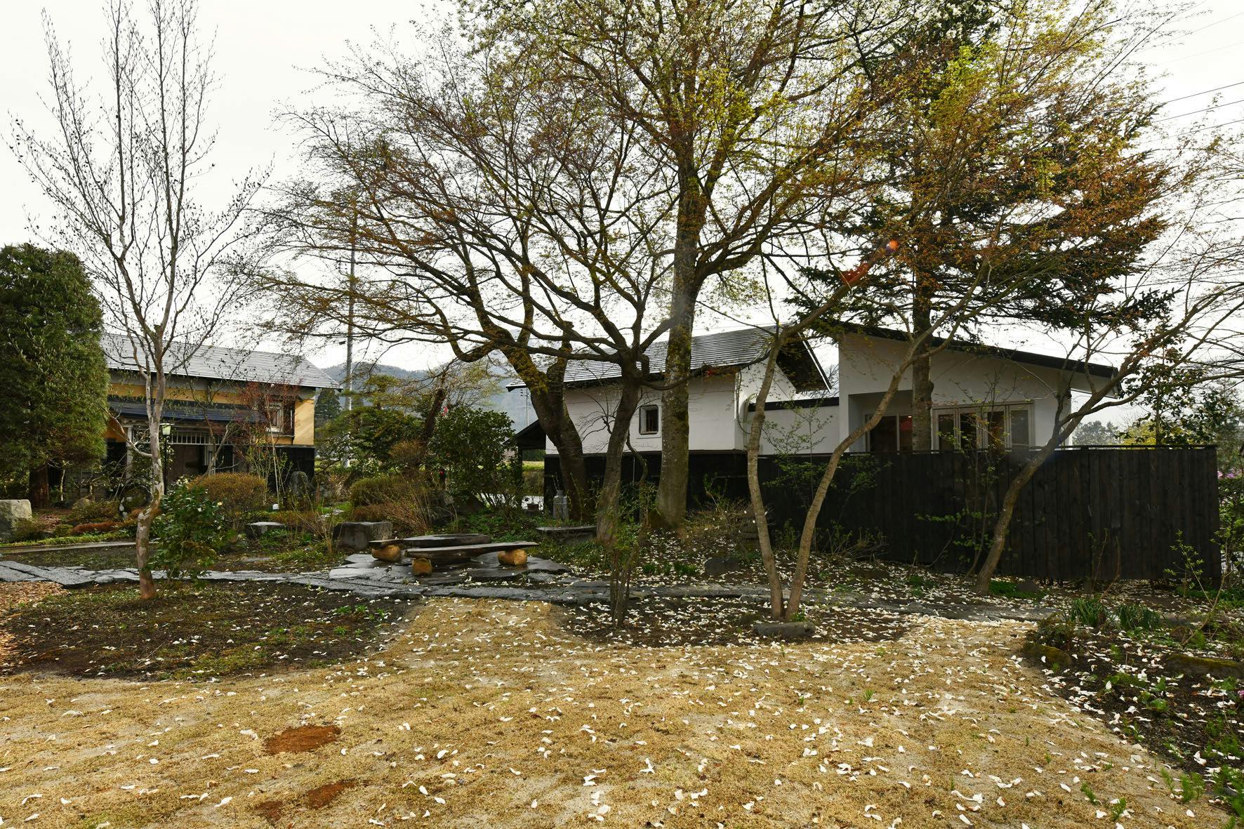 春、雪解け直後の庭です