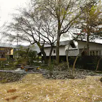 春、雪解け直後の庭です