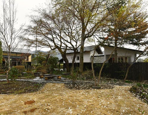 春、雪解け直後の庭です