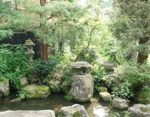 庭の池に君臨している灯篭です