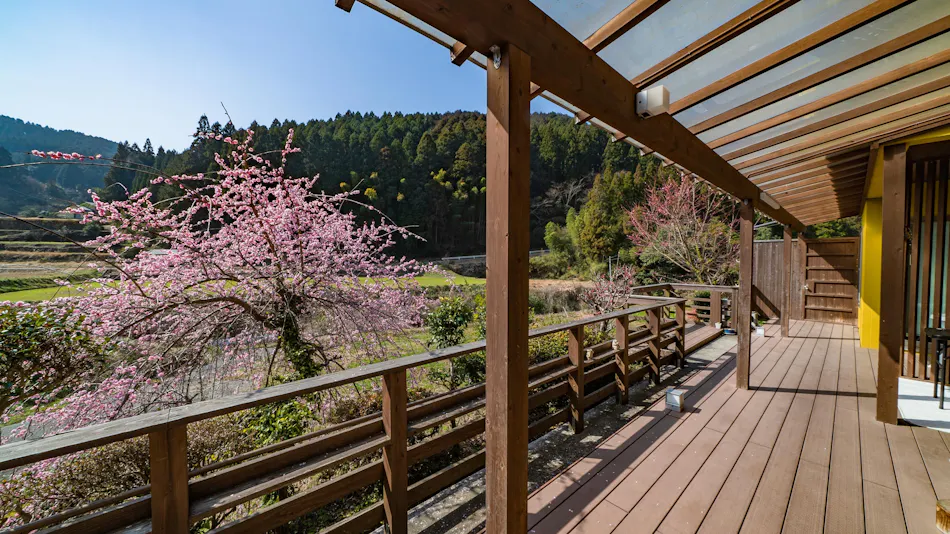 Ukihashi Kosho no Akari