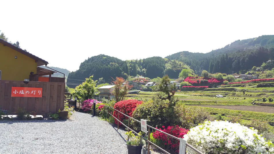 Ukihashi Kosho no Akari