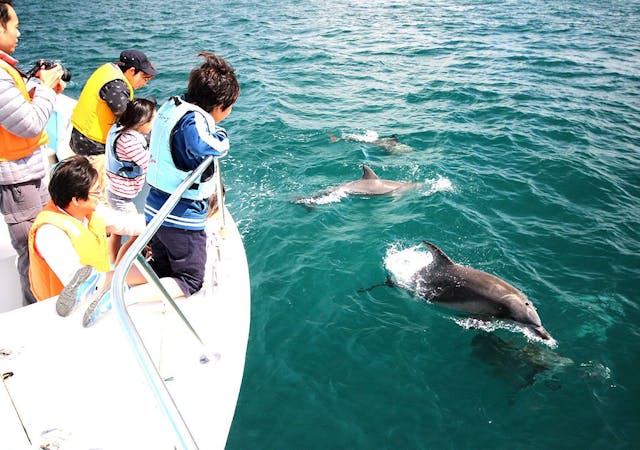 最新 シークルーズハウスナビオ 人気オススメのお部屋をチェック 最新 シークルーズハウスナビオ 人気オススメのお部屋をチェック