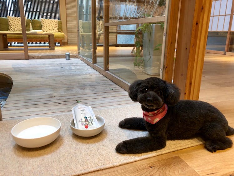 【朝食】愛犬と一緒に1棟丸ごと貸切のサムネイル画像