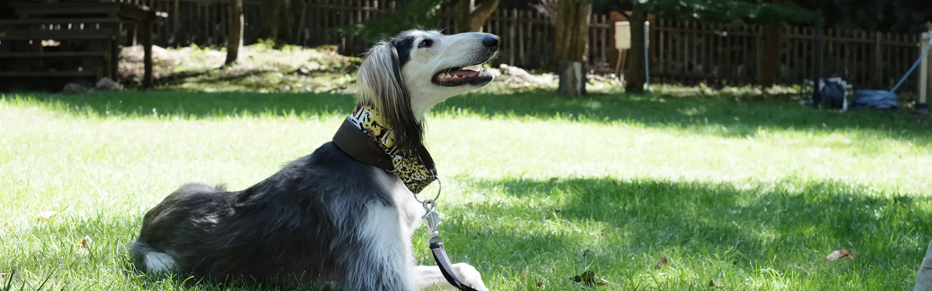 RITA’S RANCH 南軽井沢 ~愛犬と過ごすテントの休日~
