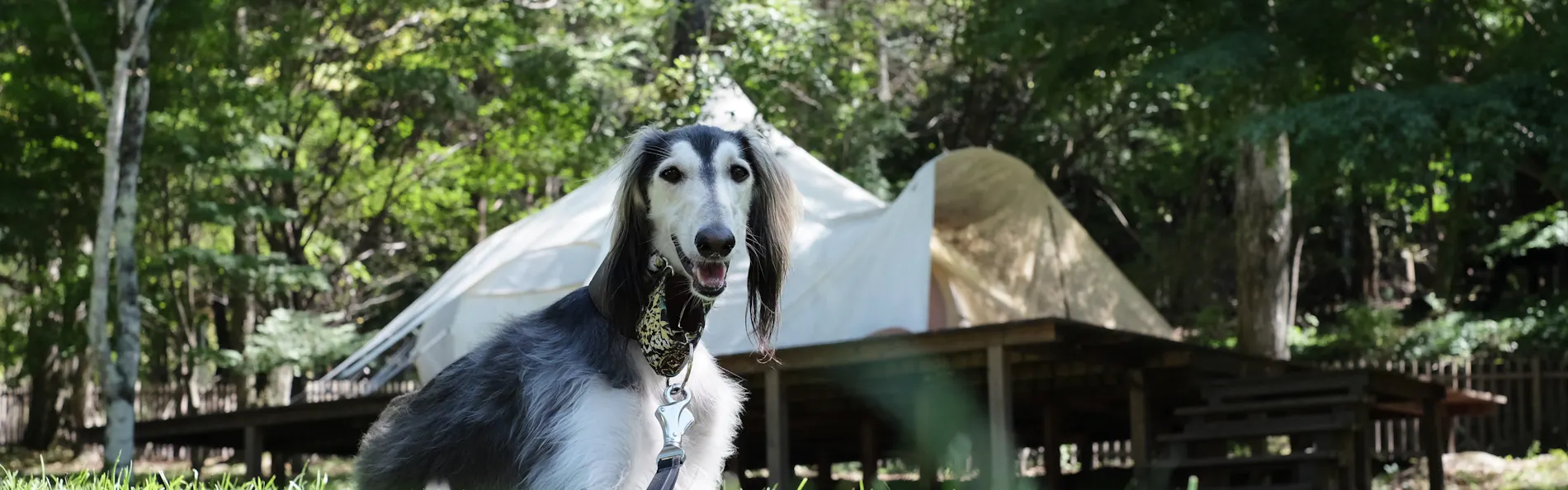 RITA’S RANCH 南軽井沢 ~愛犬と過ごすテントの休日~