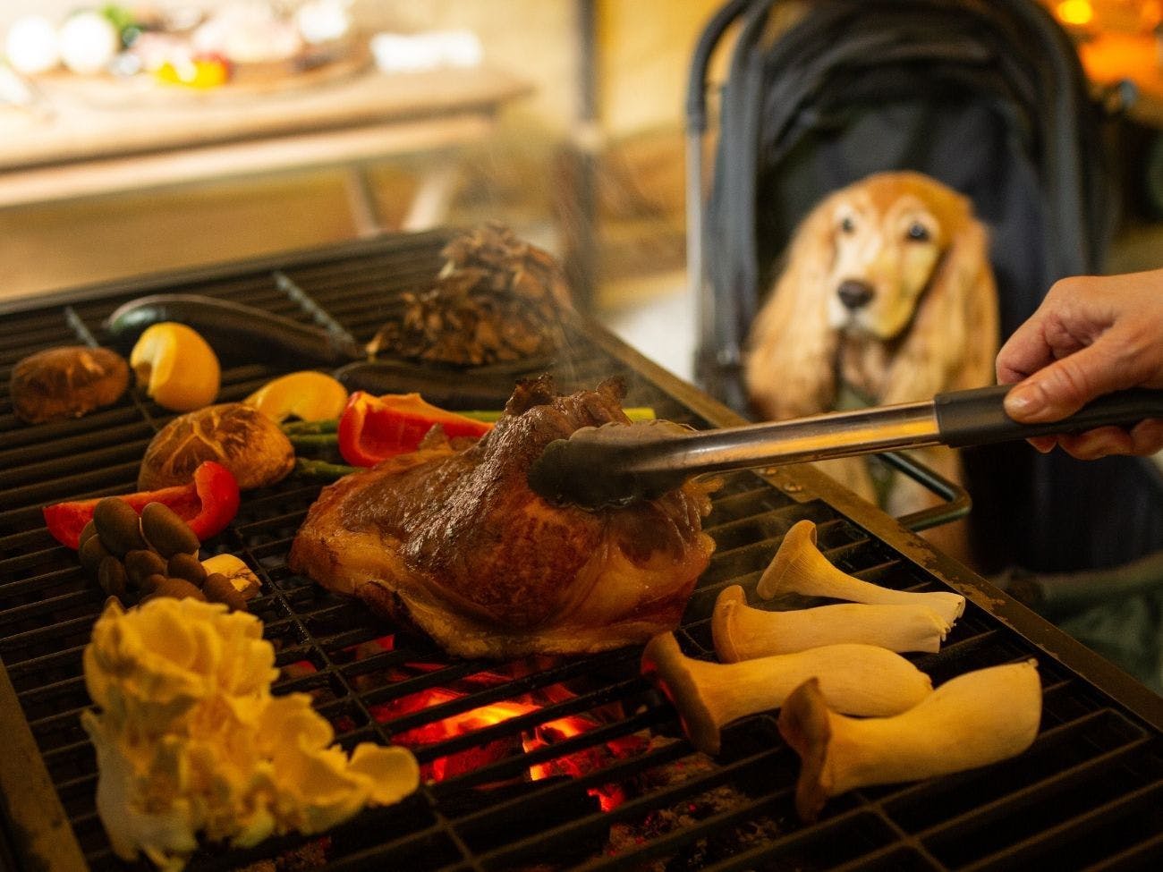 RITA’S RANCH 南軽井沢　～愛犬と過ごすテントの休日～