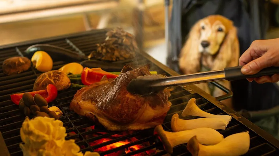 RITA'S RANCH Minami-Karuizawa ~A Tent Holiday with Your Beloved Dog~