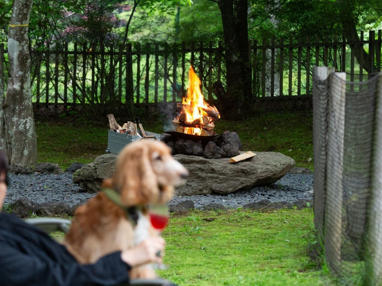 RITA’S RANCH 南軽井沢　～愛犬と過ごすテントの休日～