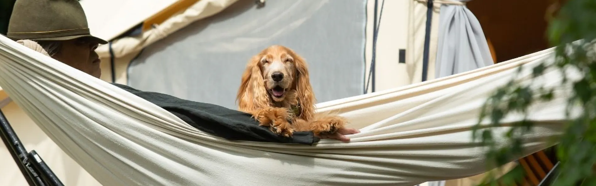 RITA’S RANCH 南軽井沢 ~愛犬と過ごすテントの休日~