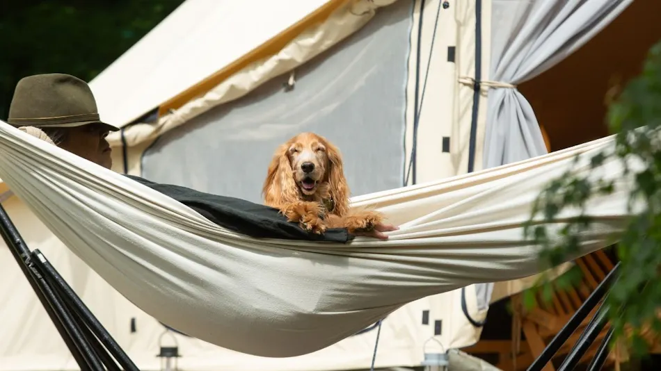 RITA'S RANCH Minami-Karuizawa ~A Tent Holiday with Your Beloved Dog~