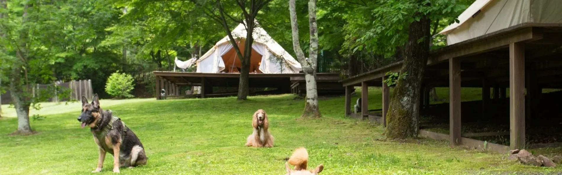 RITA’S RANCH 南軽井沢 ~愛犬と過ごすテントの休日~