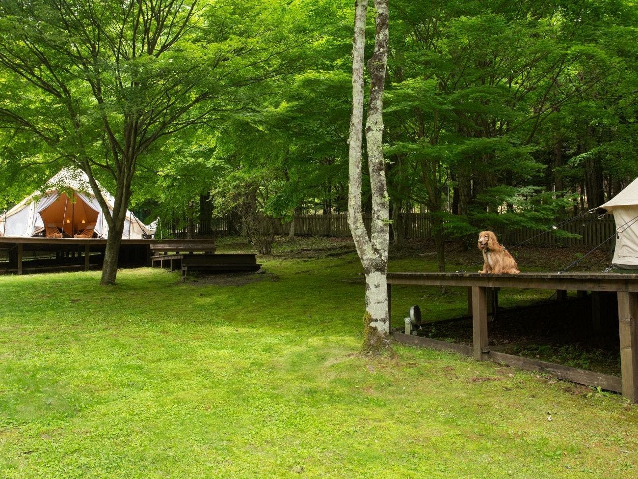 RITA’S RANCH 南軽井沢　～愛犬と過ごすテントの休日～