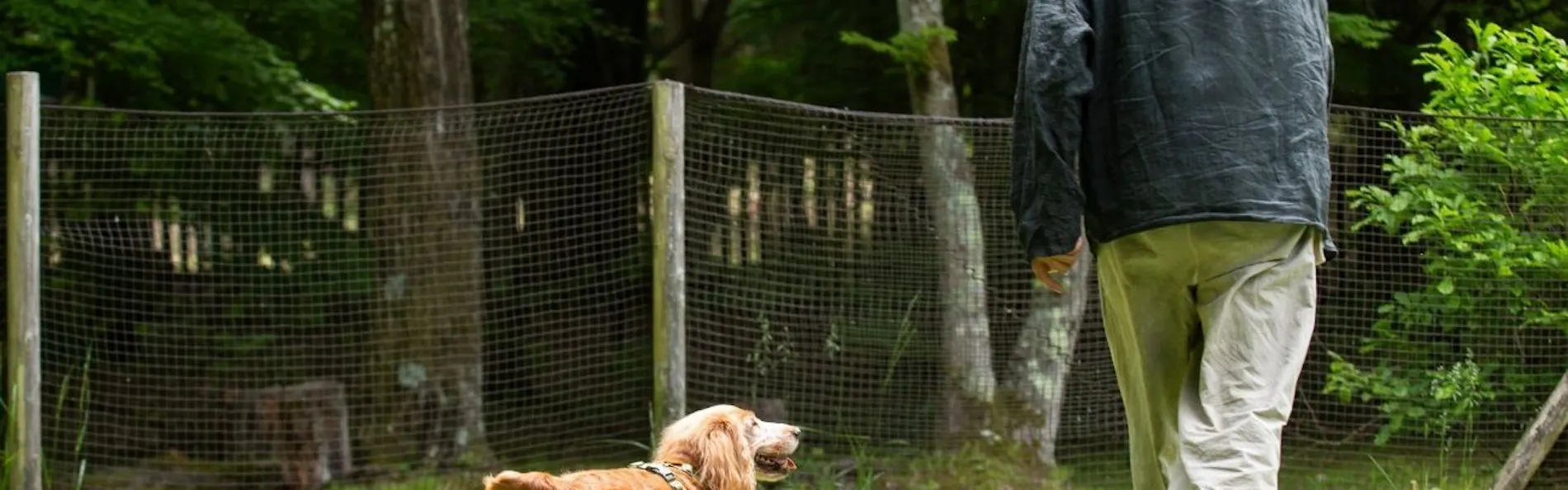 RITA’S RANCH 南軽井沢 ~愛犬と過ごすテントの休日~