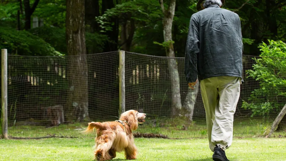 RITA'S RANCH Minami-Karuizawa ~A Tent Holiday with Your Beloved Dog~