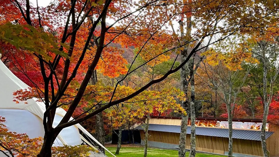 RITA'S RANCH Minami-Karuizawa ~A Tent Holiday with Your Beloved Dog~