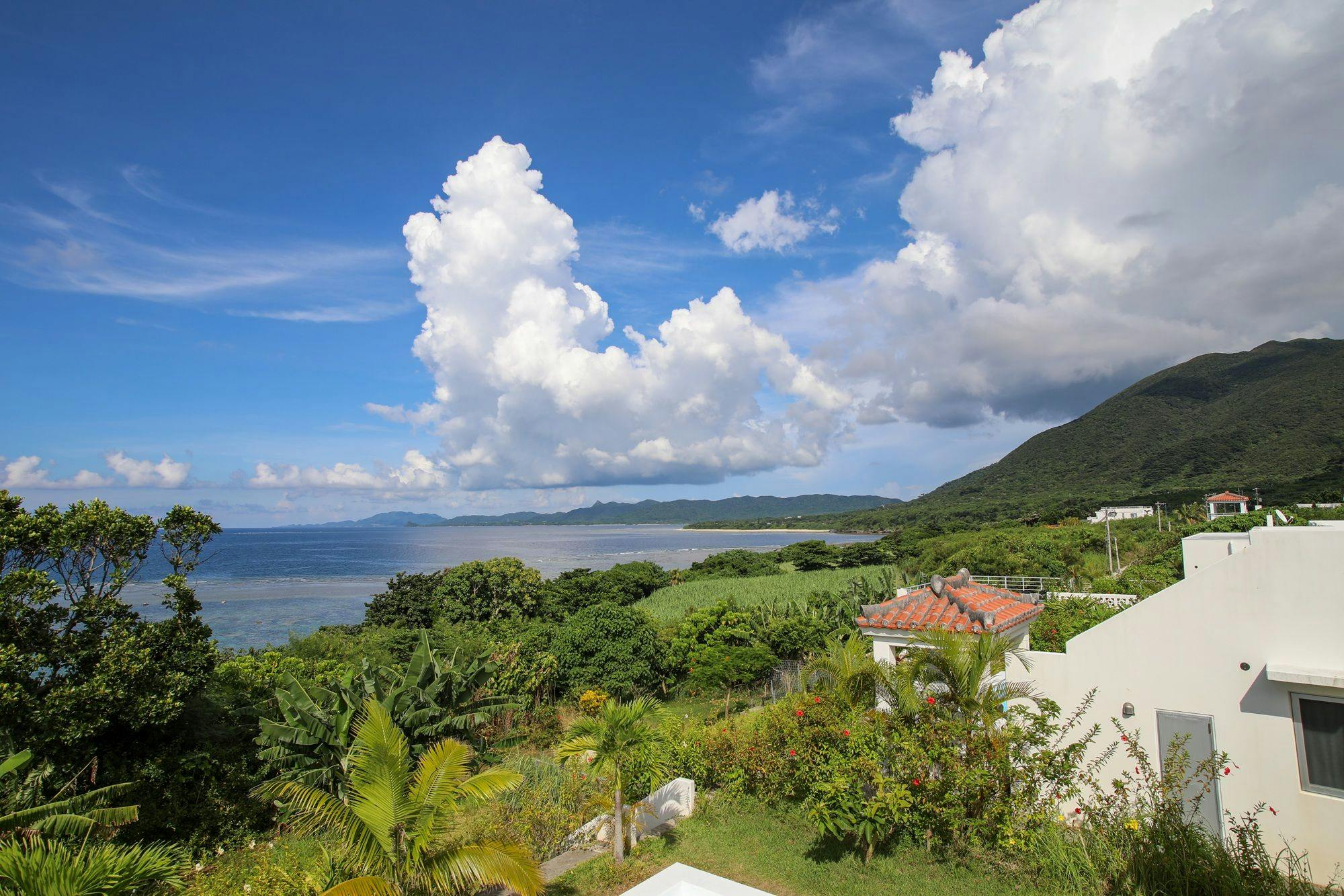 วิวจากดาดฟ้า