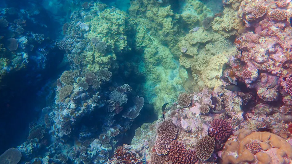 Blue Ocean Resort Ishigakijima