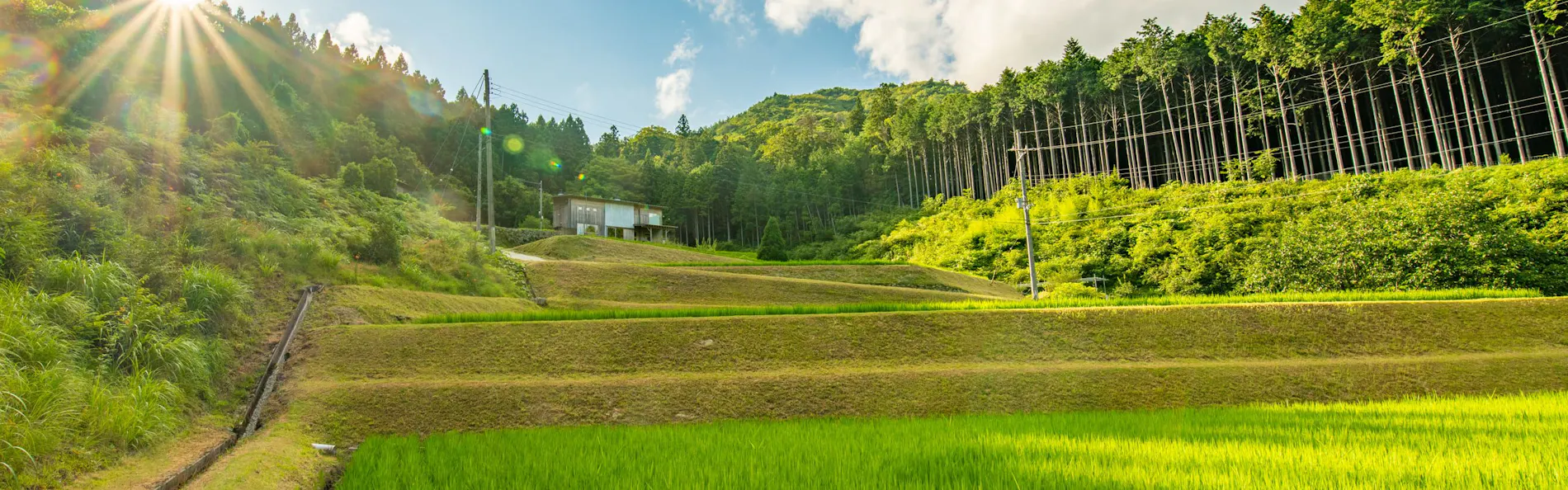 NIPPONIA 後川 天空農園