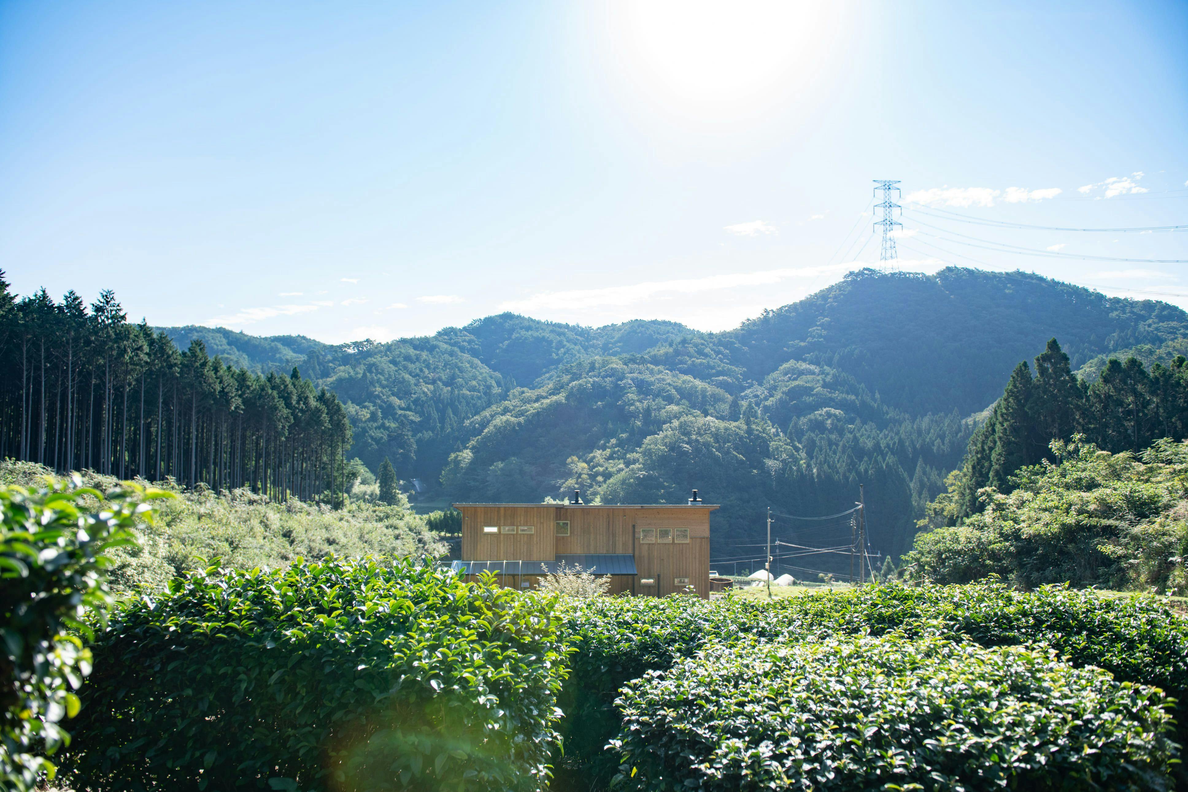 NIPPONIA　後川　天空農園
