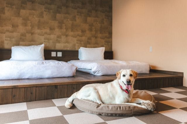 飛騨 高山 白川郷のペットokのお部屋 おすすめホテル 旅館 お得に宿泊予約 Yahoo トラベル