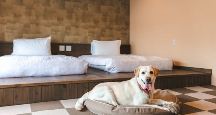 飛騨 高山 白川郷のペットokのお部屋 おすすめホテル 旅館 お得に宿泊予約 Yahoo トラベル 飛騨 高山 白川郷のペットokのお部屋 おすすめホテル 旅館 お得に宿泊予約 Yahoo トラベル