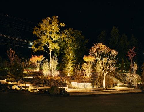 敷地内　夜の庭園