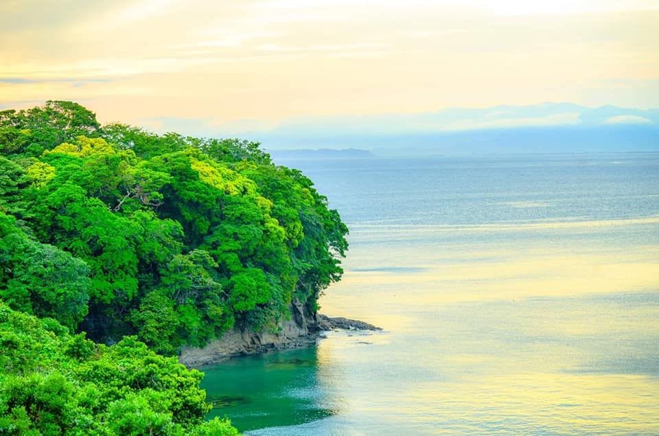 The Canvas Hayama Park】の空室状況を確認する - 宿泊予約は