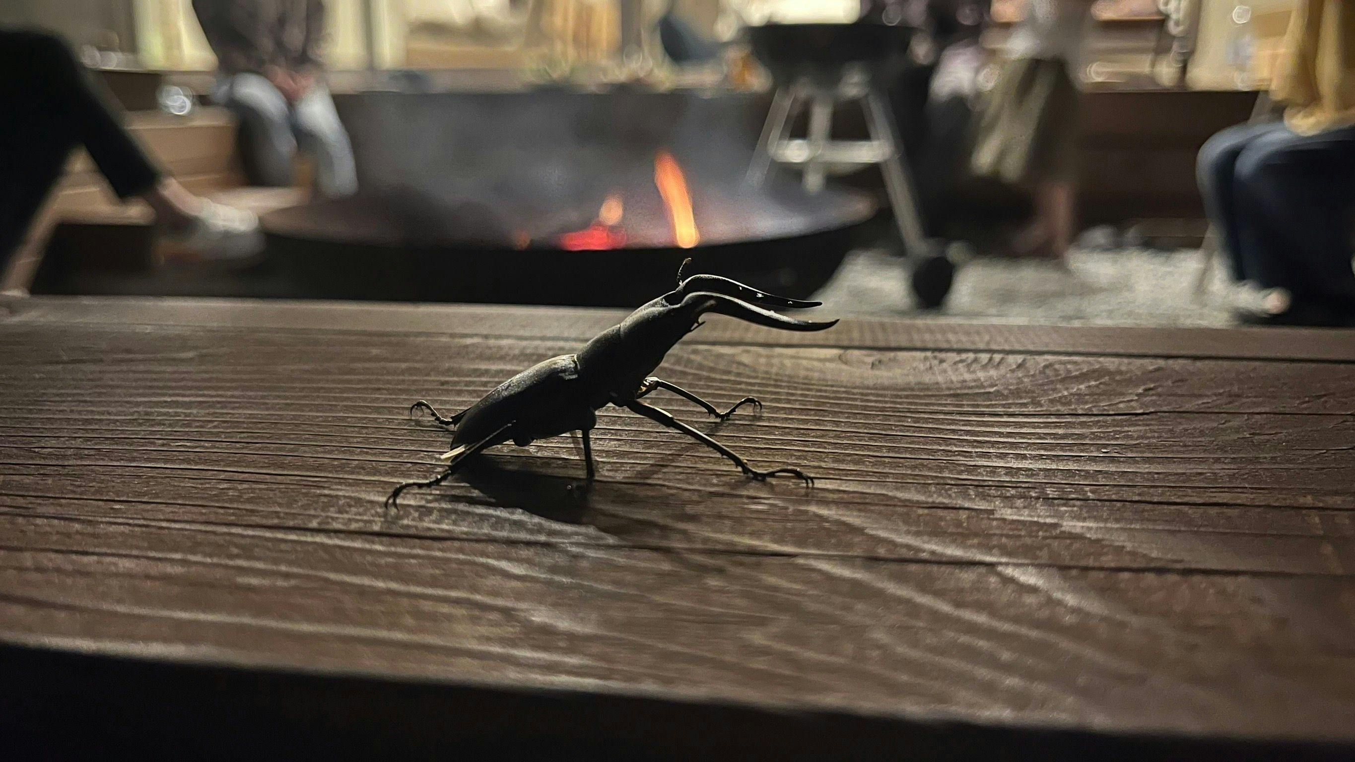 ヴィラグリファーム七里岩