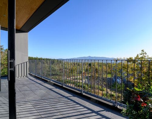 ダイニング (夏)