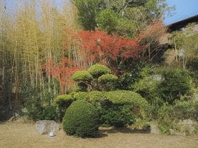 古淡