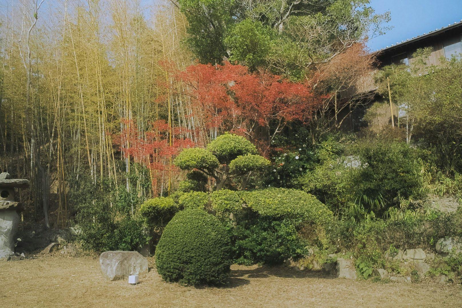 古淡